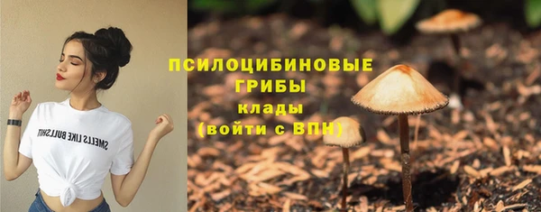 спиды Заволжск