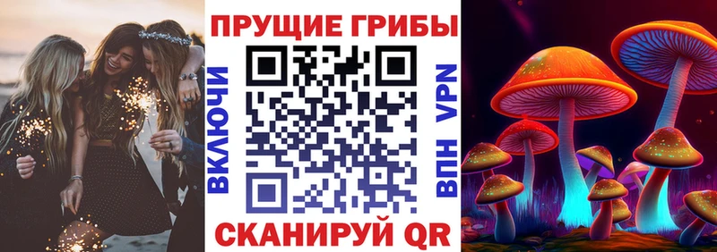 Купить где  Кушва  Псилоцибиновые грибы мицелий 